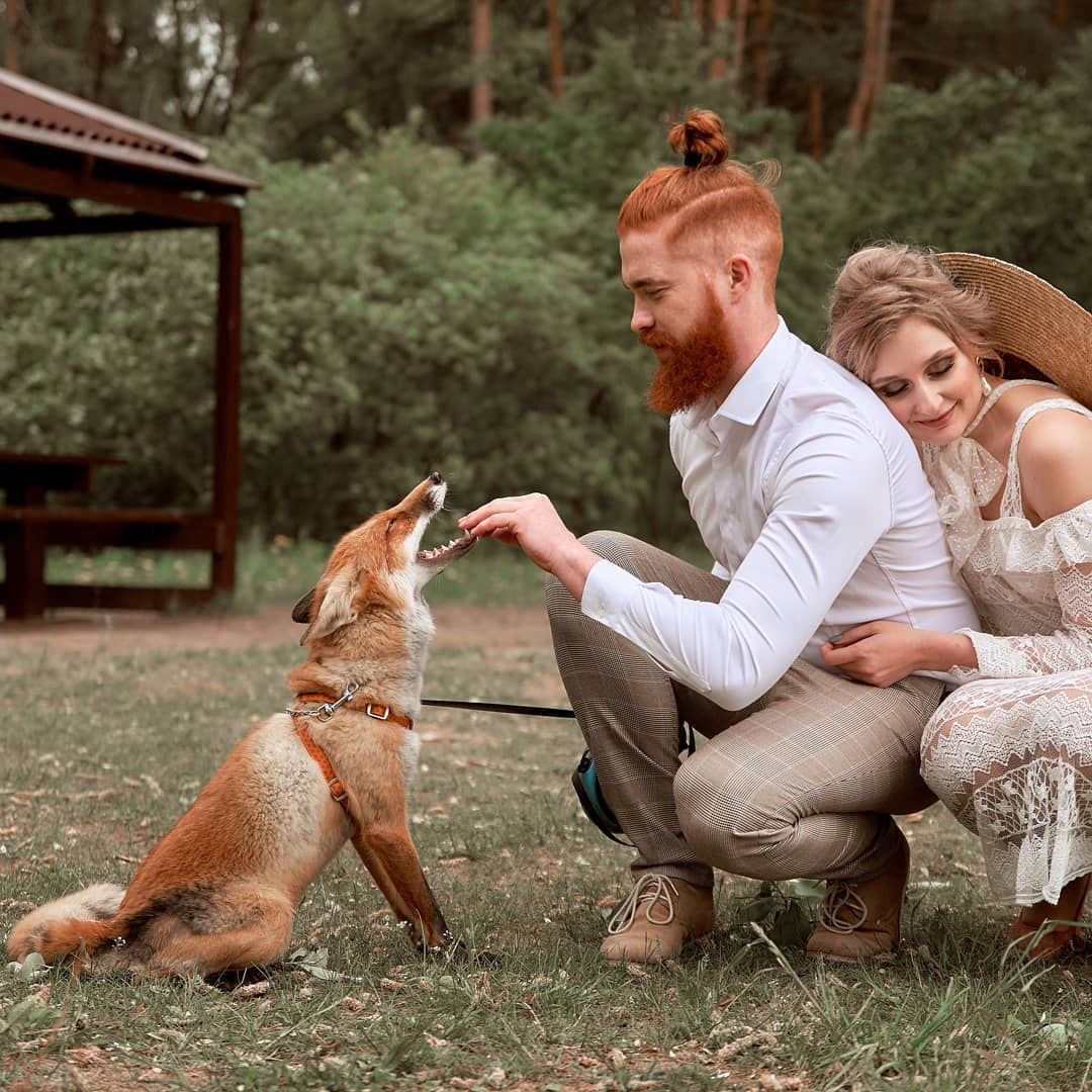 фотосессия с лисой
