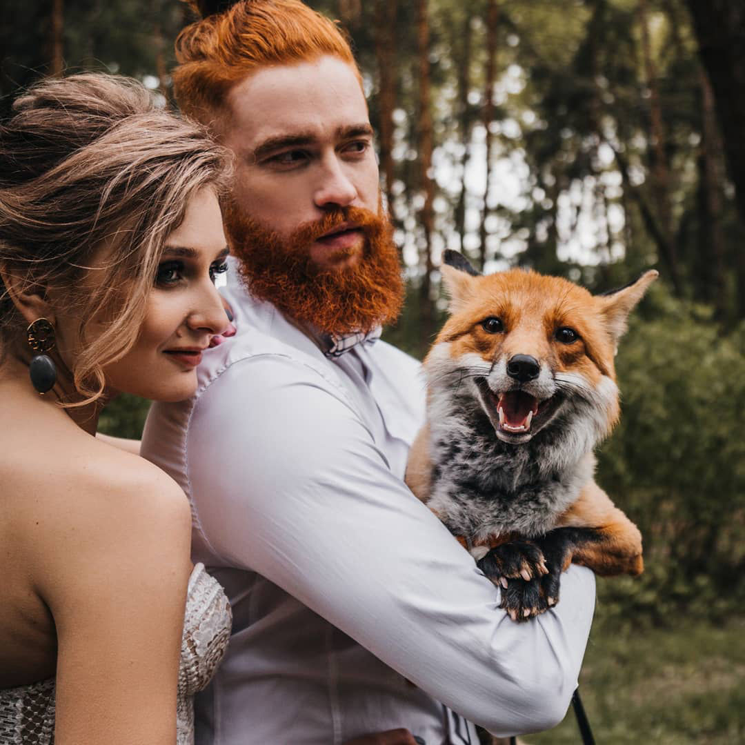 фотосессия с лисой