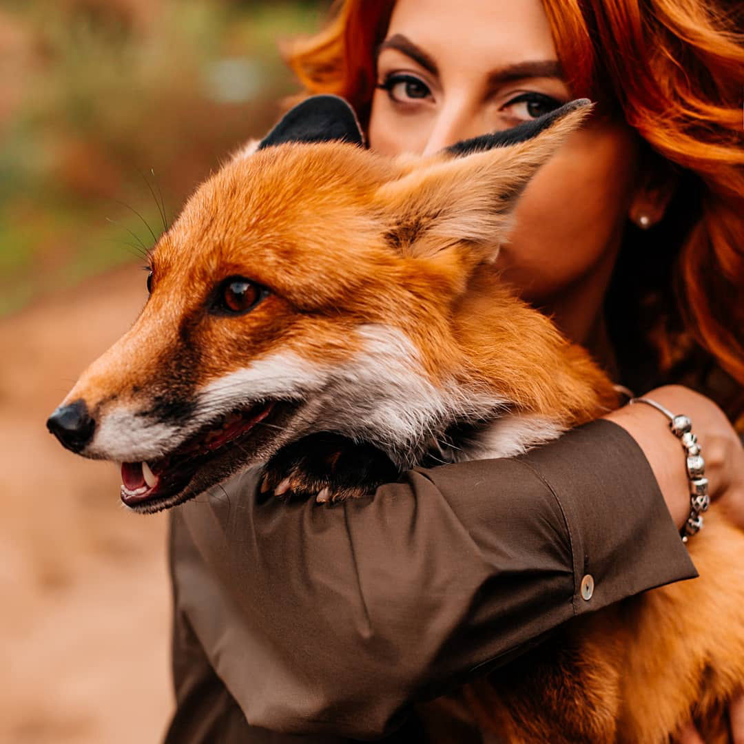 фотосессия с лисой