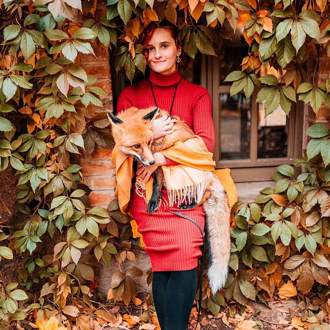 фотосессия с лисой