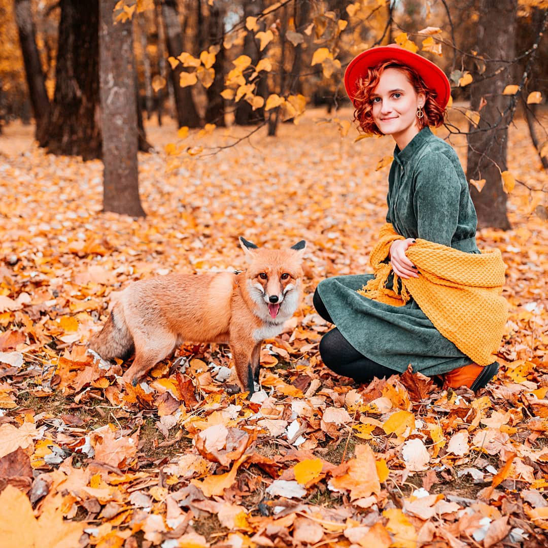 фотосессия с лисой