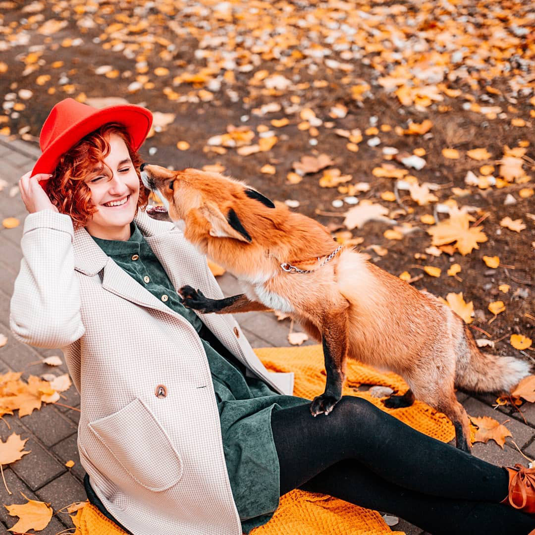 фотосессия с лисой