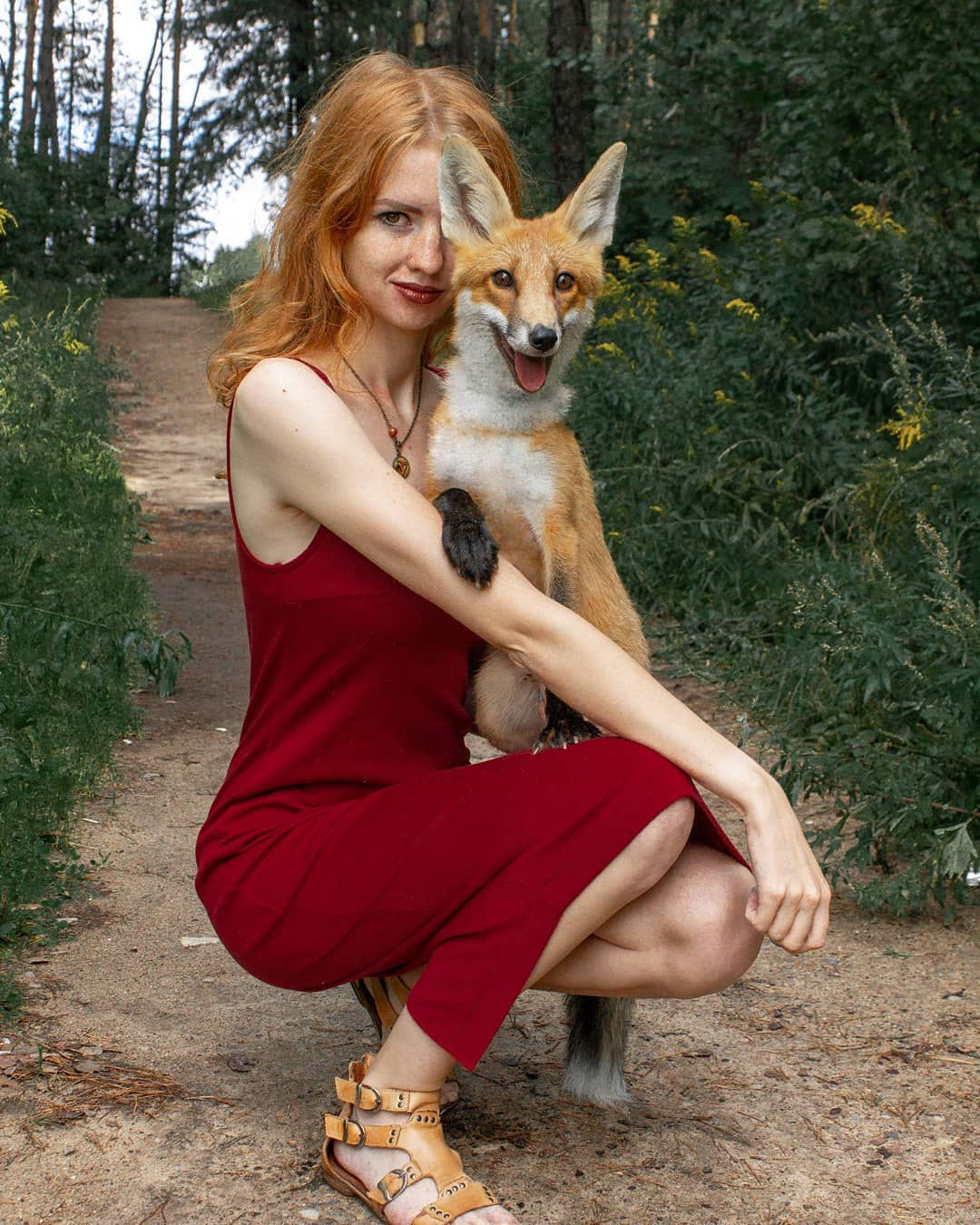 фотосессия с лисой