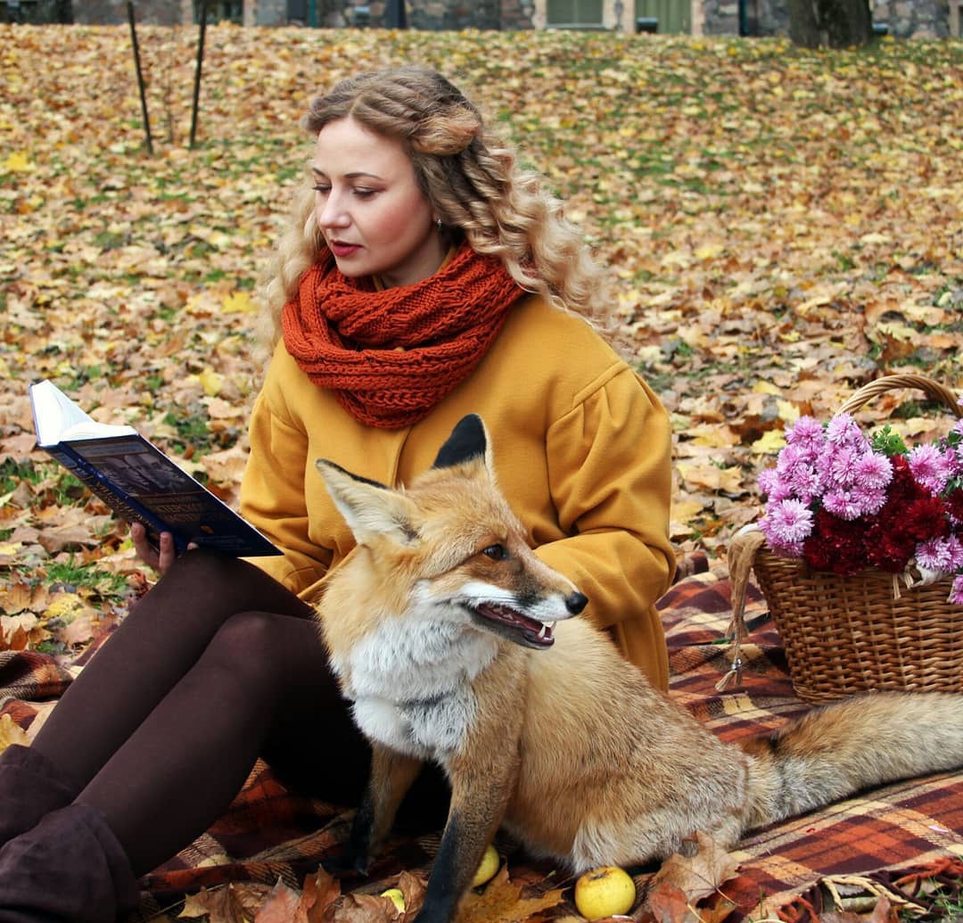 фото с лисой